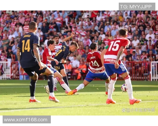 奥德与罗森博格在线对决分析及赛事前瞻详解 奥德与罗森博格在线对决分析及赛事前瞻详解