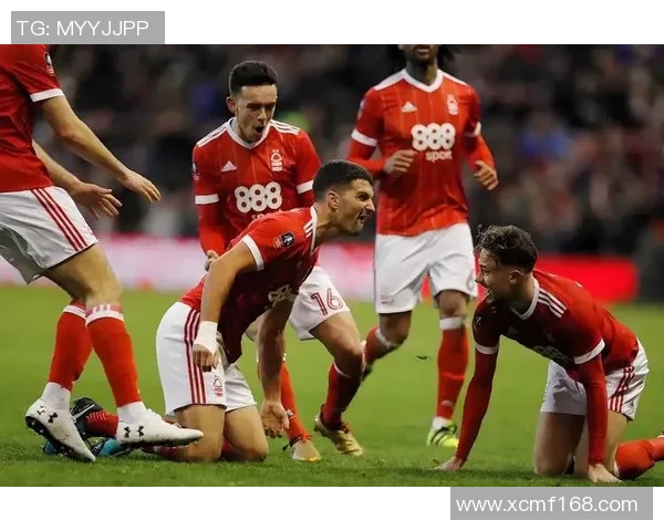 埃弗顿与热刺对决前瞻分析球队状态与战术布局探讨