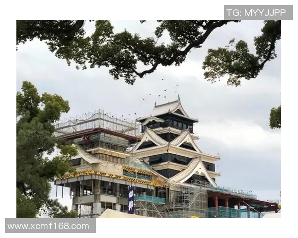 北九州与长崎的魅力对决探索两座城市的文化与风景之美