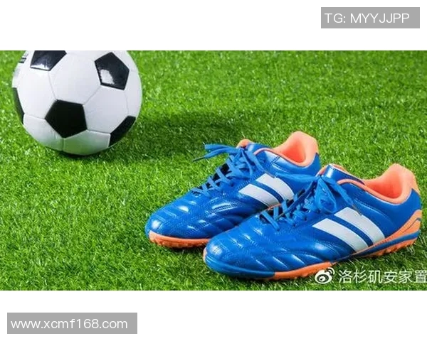 巴萨与利物浦经典对决精彩集锦回顾与分析