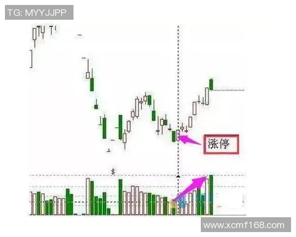 杭州飞盘队的战术解析与控制策略深度剖析MBA 杭州飞盘队的战术解析与控制策略深度剖析MBA
