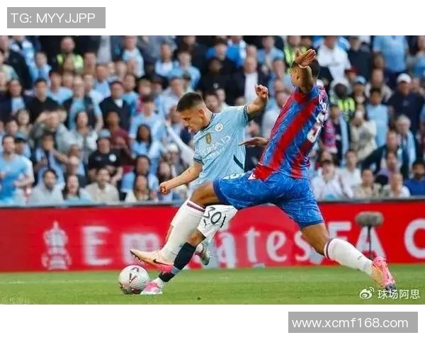 狼队与水晶宫的历史交锋回顾及战绩分析 狼队与水晶宫的历史交锋回顾及战绩分析