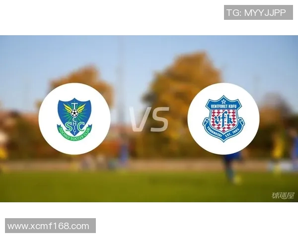 甲府vs枥木sC 甲府vs枥木sC