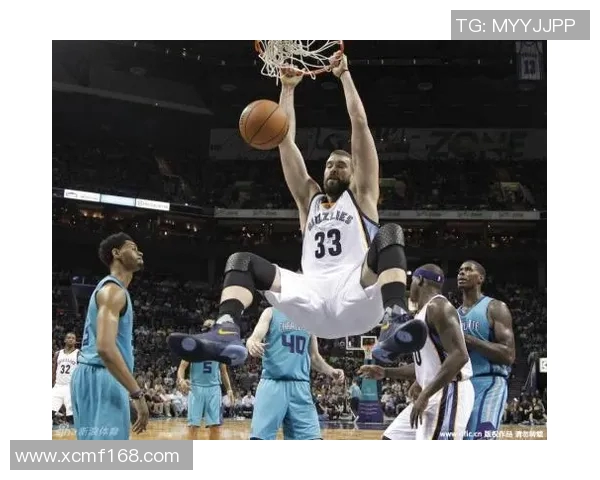 篮球明星lolid的成长之路与辉煌成就揭秘