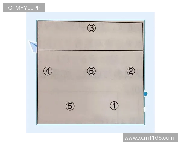 从零起步掌握排球力量技巧全面指南助你成为排球高手