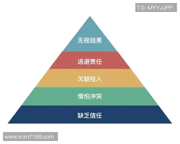 上海排球队意识表现评析大满贯赛事中的战术与团队协作探讨